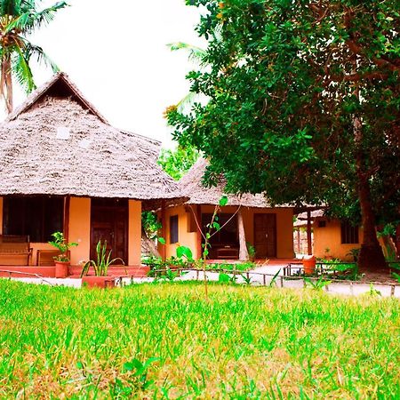 Afro Whale Shark Safari Bed and Breakfast Kilindoni Εξωτερικό φωτογραφία