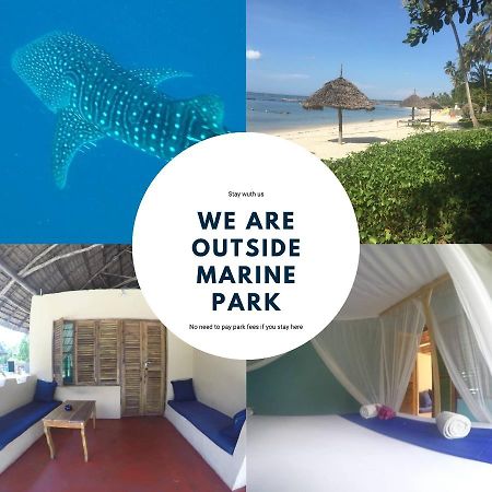 Afro Whale Shark Safari Bed and Breakfast Kilindoni Εξωτερικό φωτογραφία