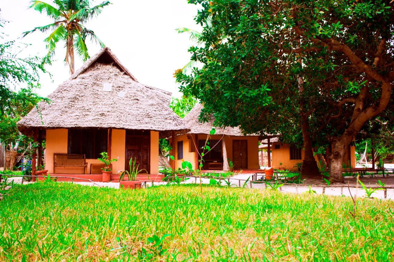 Afro Whale Shark Safari Bed and Breakfast Kilindoni Εξωτερικό φωτογραφία