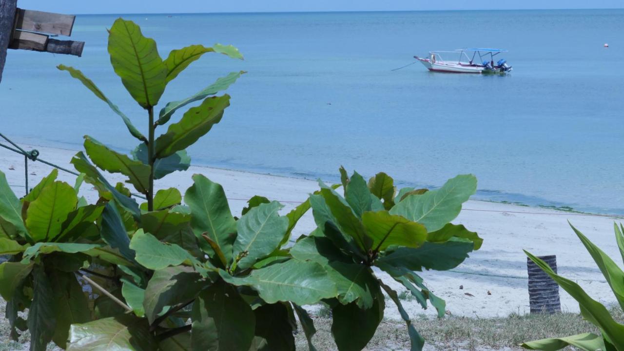 Afro Whale Shark Safari Bed and Breakfast Kilindoni Εξωτερικό φωτογραφία