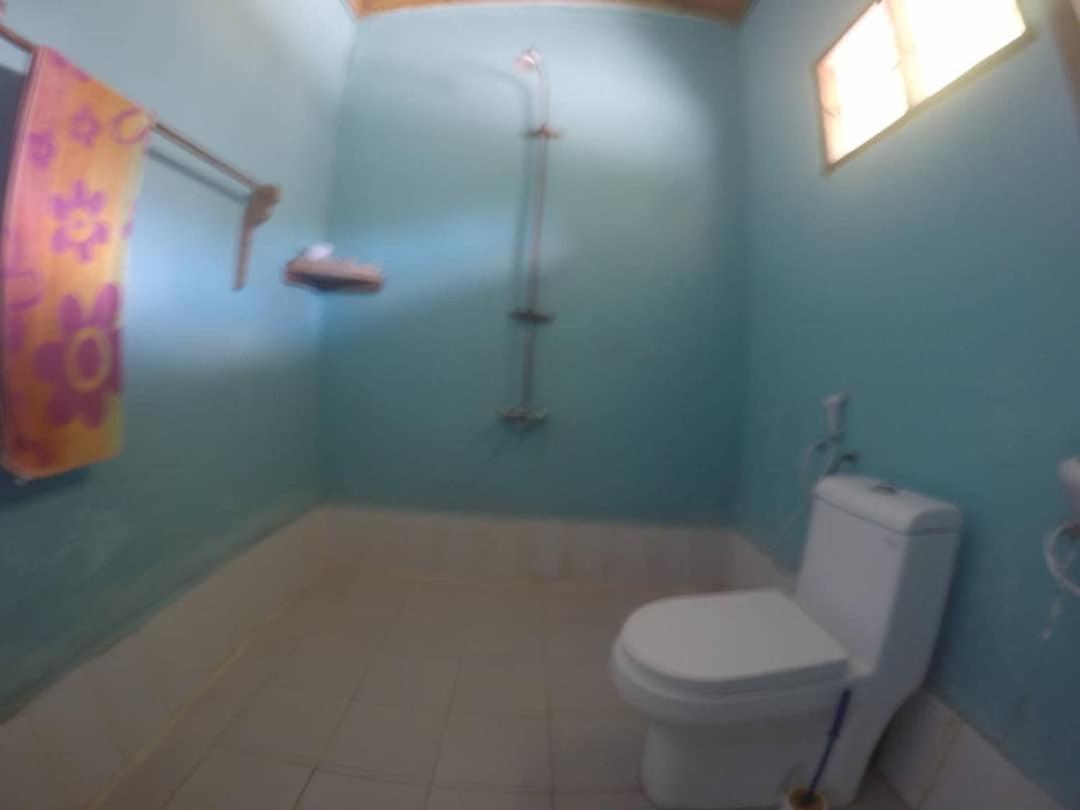 Afro Whale Shark Safari Bed and Breakfast Kilindoni Εξωτερικό φωτογραφία