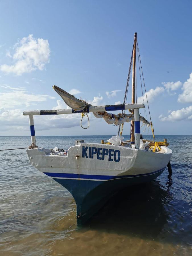 Afro Whale Shark Safari Bed and Breakfast Kilindoni Εξωτερικό φωτογραφία