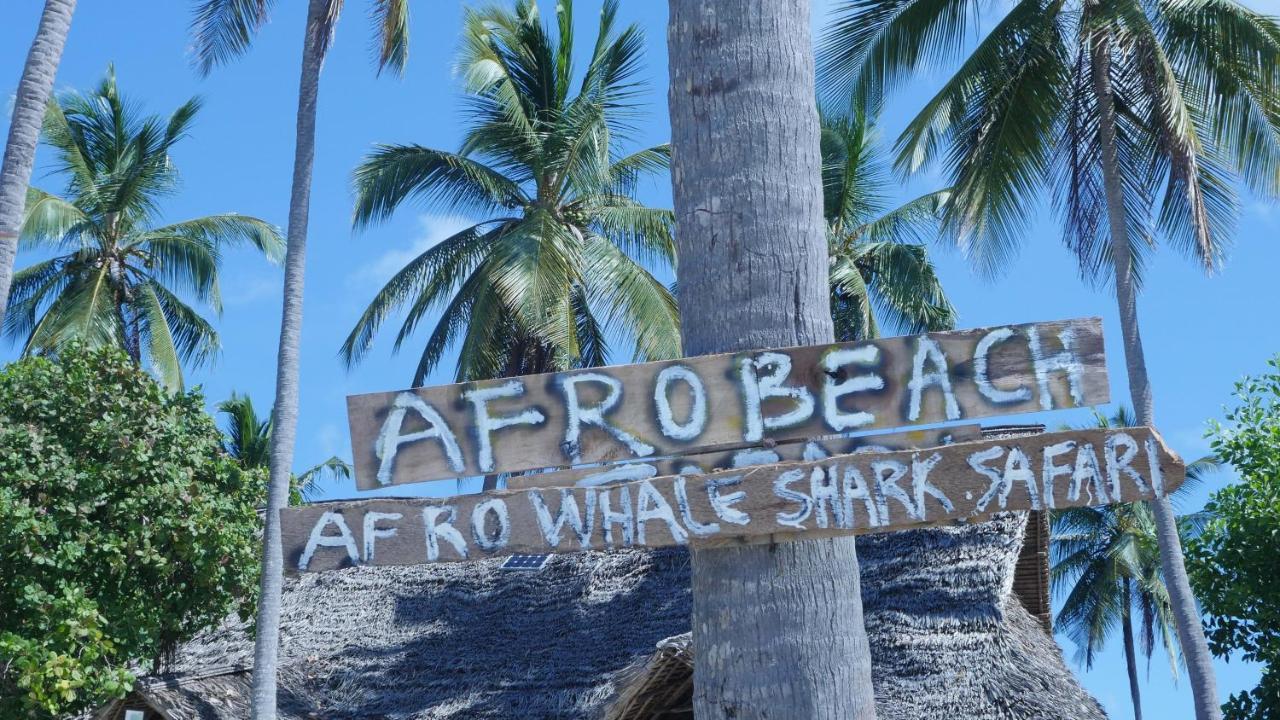 Afro Whale Shark Safari Bed and Breakfast Kilindoni Εξωτερικό φωτογραφία