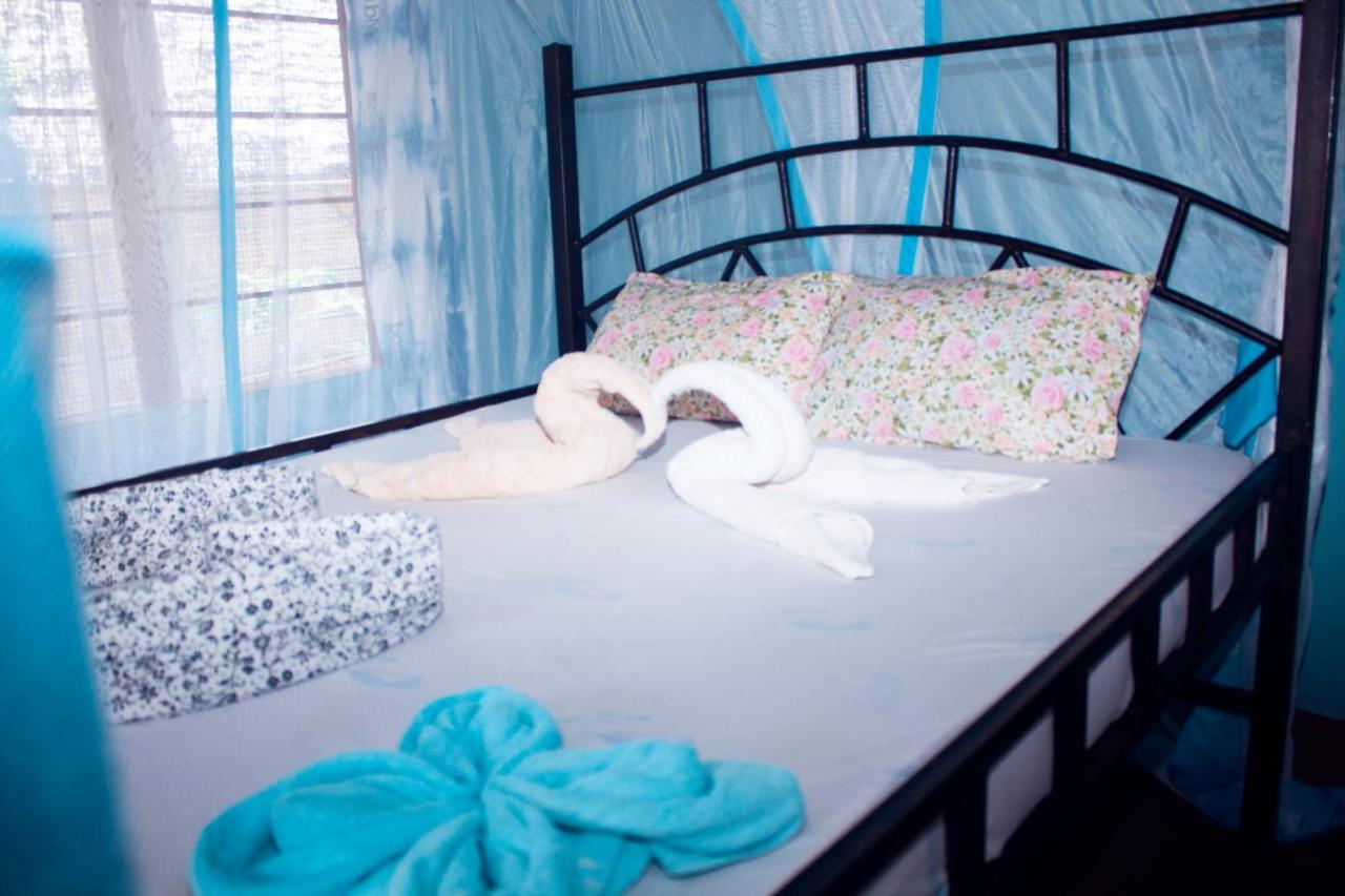 Afro Whale Shark Safari Bed and Breakfast Kilindoni Εξωτερικό φωτογραφία