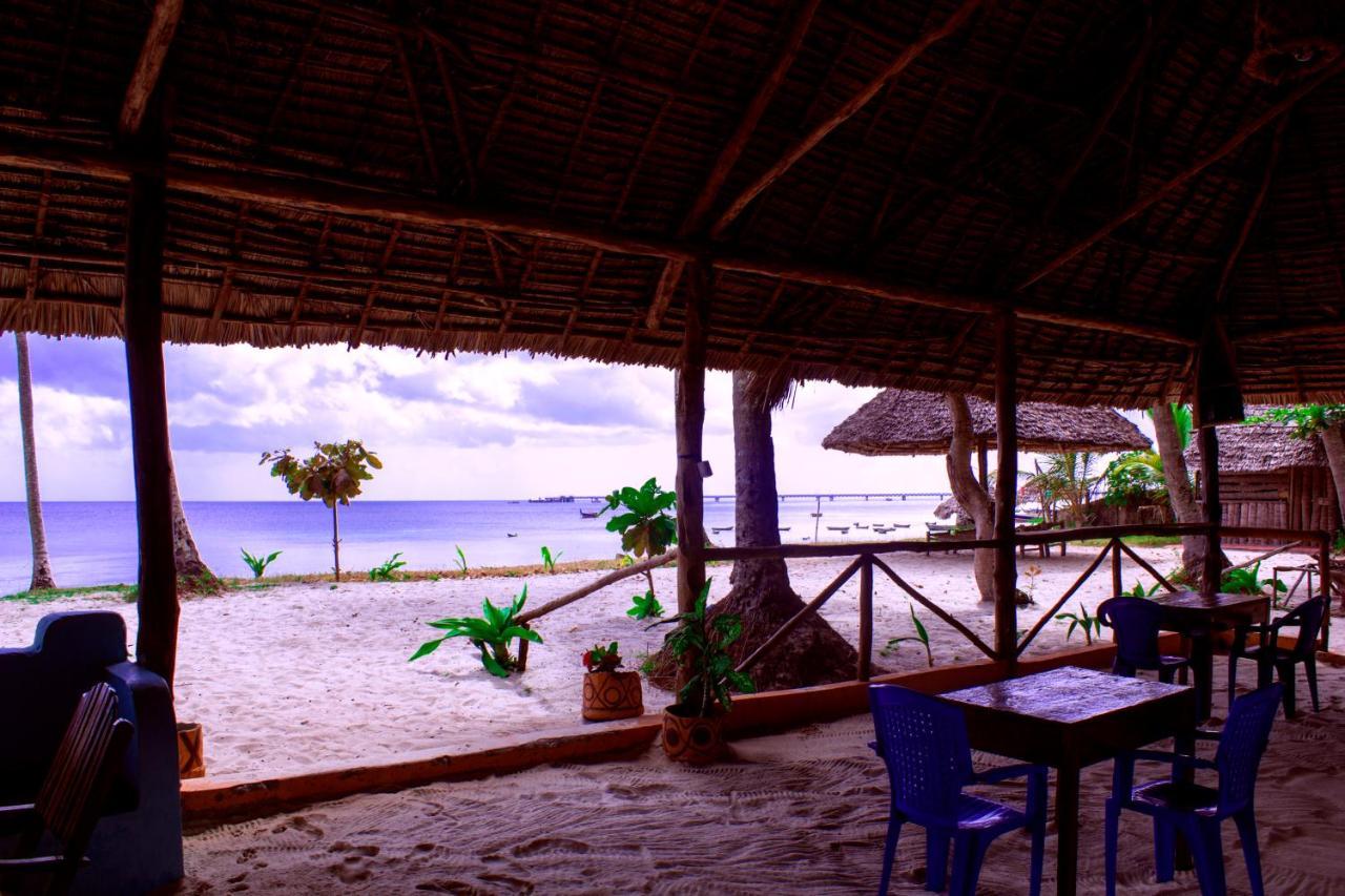 Afro Whale Shark Safari Bed and Breakfast Kilindoni Εξωτερικό φωτογραφία