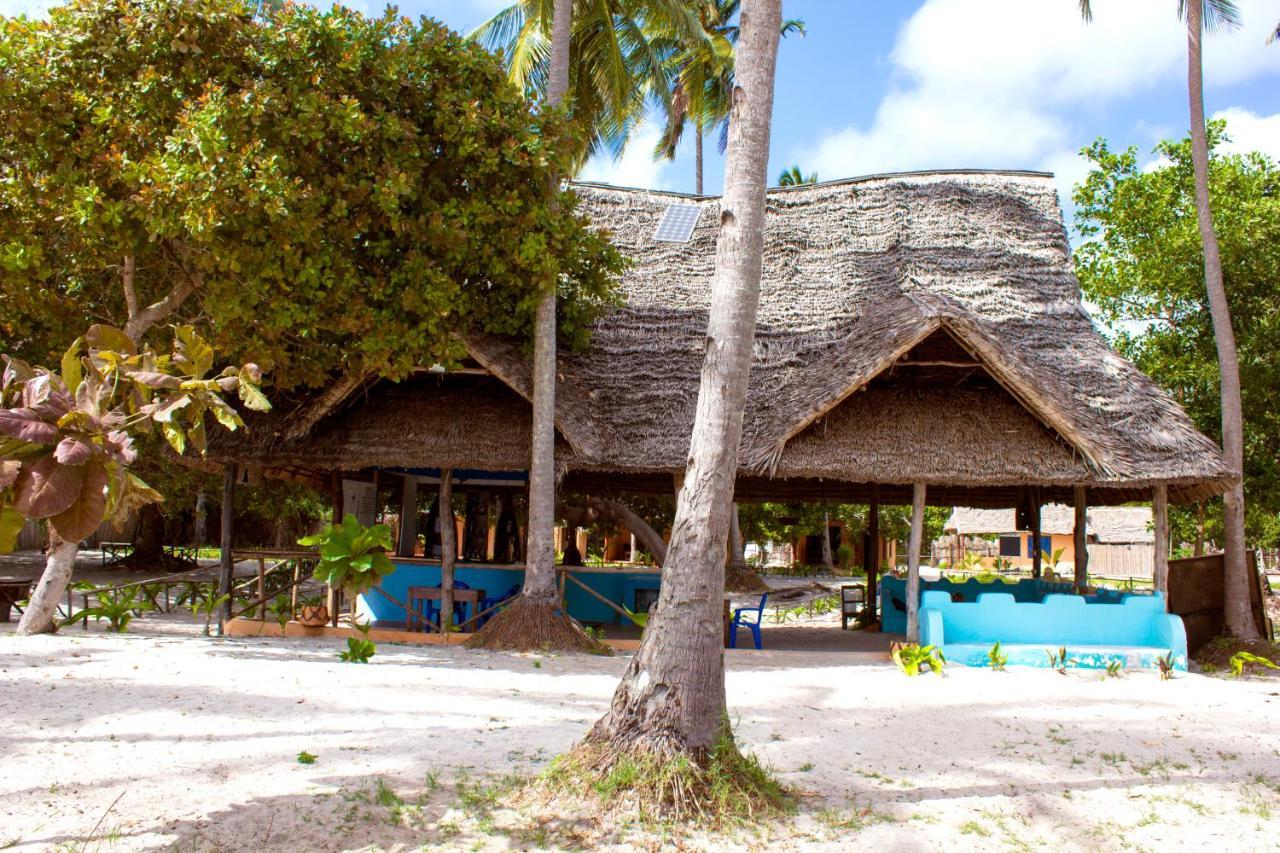 Afro Whale Shark Safari Bed and Breakfast Kilindoni Εξωτερικό φωτογραφία