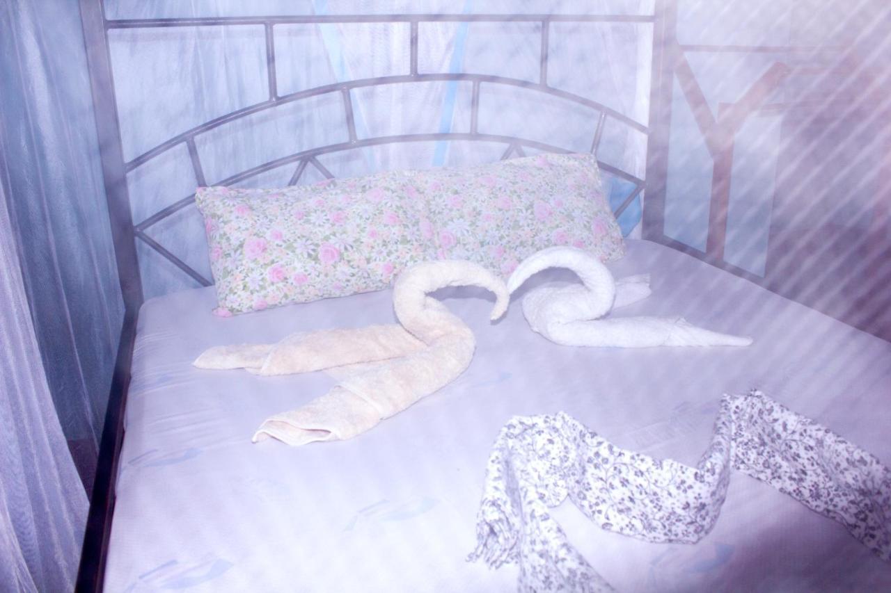 Afro Whale Shark Safari Bed and Breakfast Kilindoni Εξωτερικό φωτογραφία